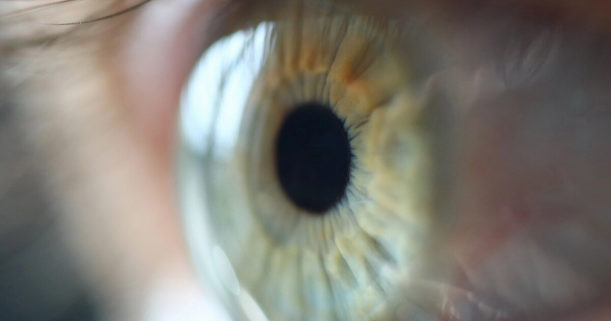 Stem cell therapy trial reverses “irreversible” damage to cornea