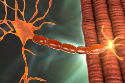 Young Patient Dies After Receiving New Gene Therapy for Duchenne Muscular Dystrophy