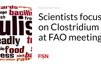 Scientists focus on Clostridium at FAO meeting