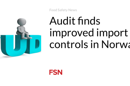 Audit finds improved import controls in Norway