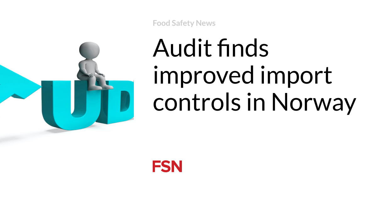 Audit finds improved import controls in Norway