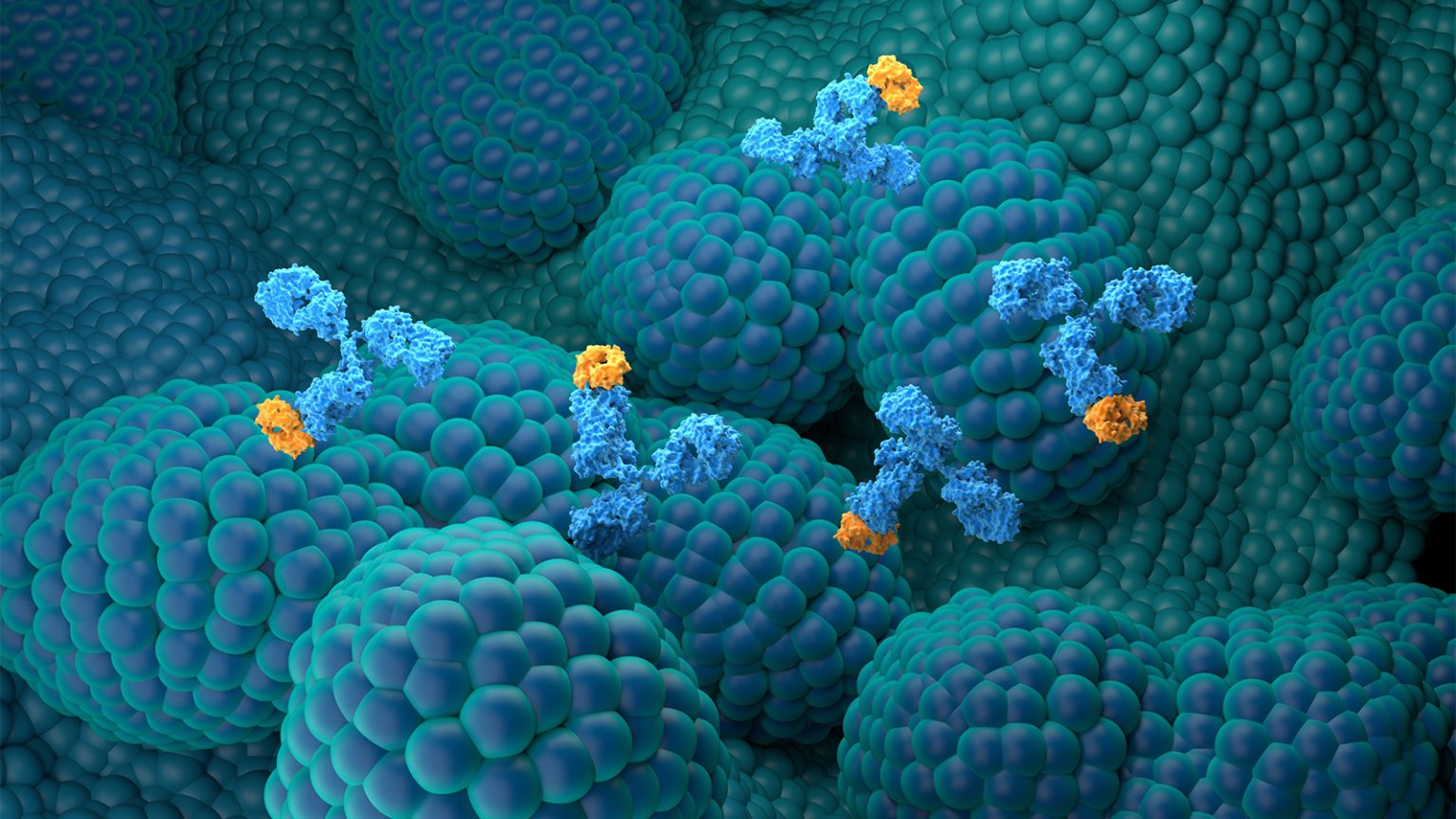 End of the Road for Immune Checkpoint Inhibitors in Prostate Cancer?