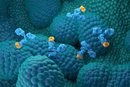 End of the Road for Immune Checkpoint Inhibitors in Prostate Cancer?