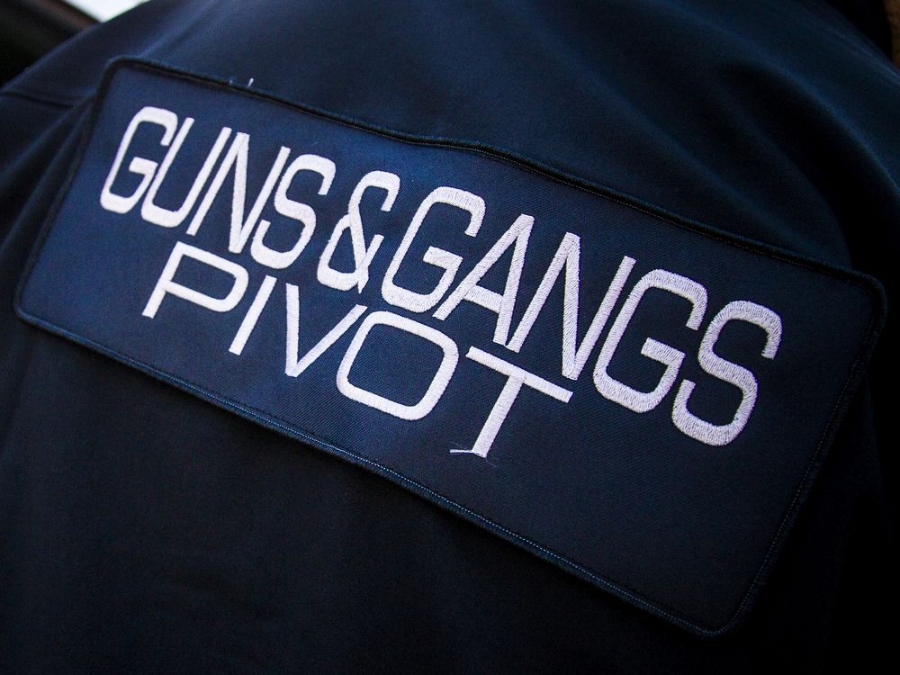 Ottawa man faces drug, weapons charges after Alta Vista raid