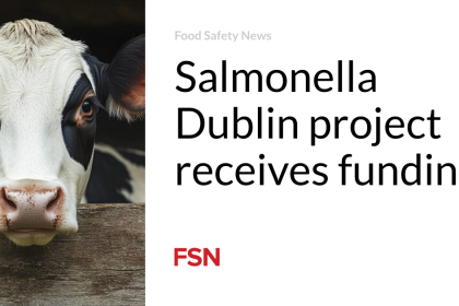 Salmonella Dublin project receives funding