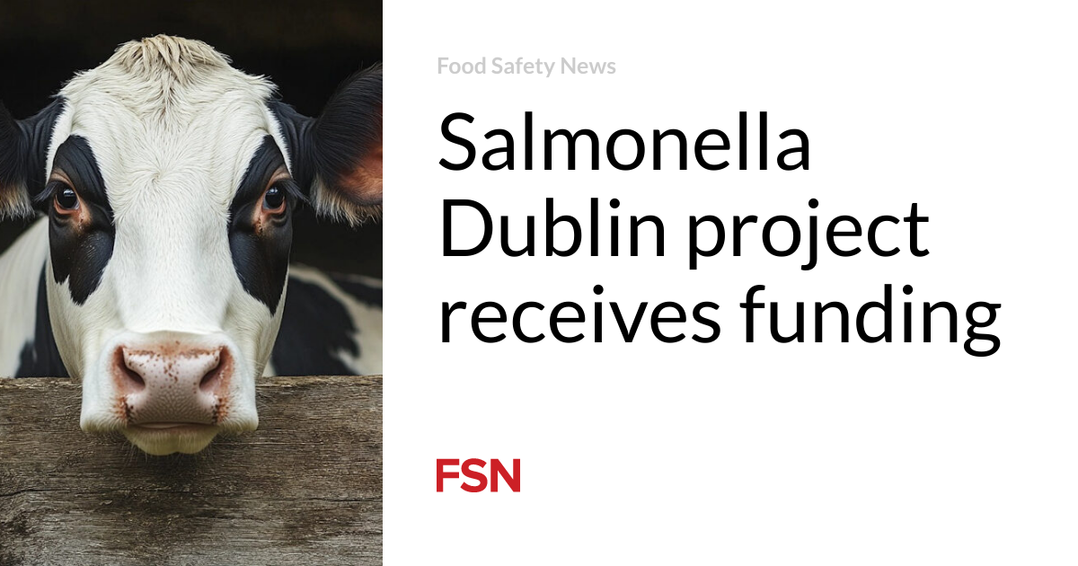 Salmonella Dublin project receives funding