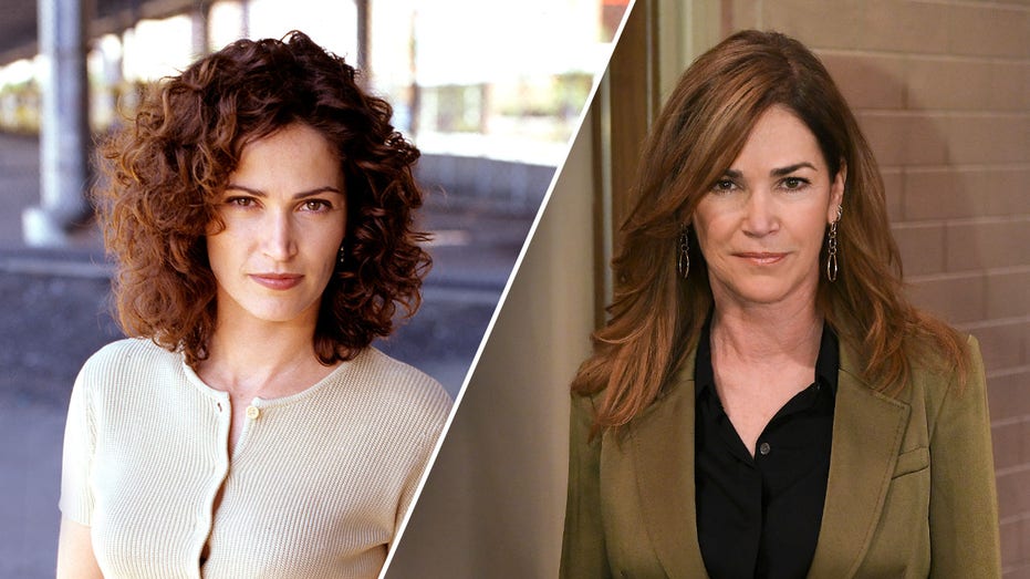 ‘NYPD Blue’ star Kim Delaney’s felony arrest caps alcoholism battle spanning decades