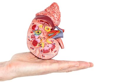 Think the Urinary Tract Is Sterile? Think Again