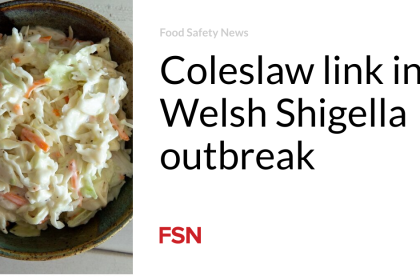 Coleslaw link in Welsh Shigella outbreak