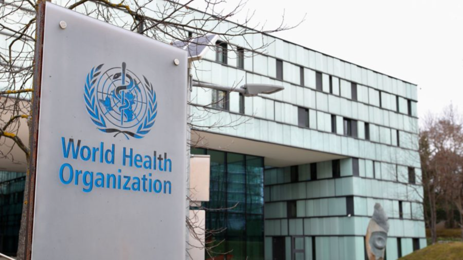WHO reports health service disruptions in 70% of countries due to aid cuts 
