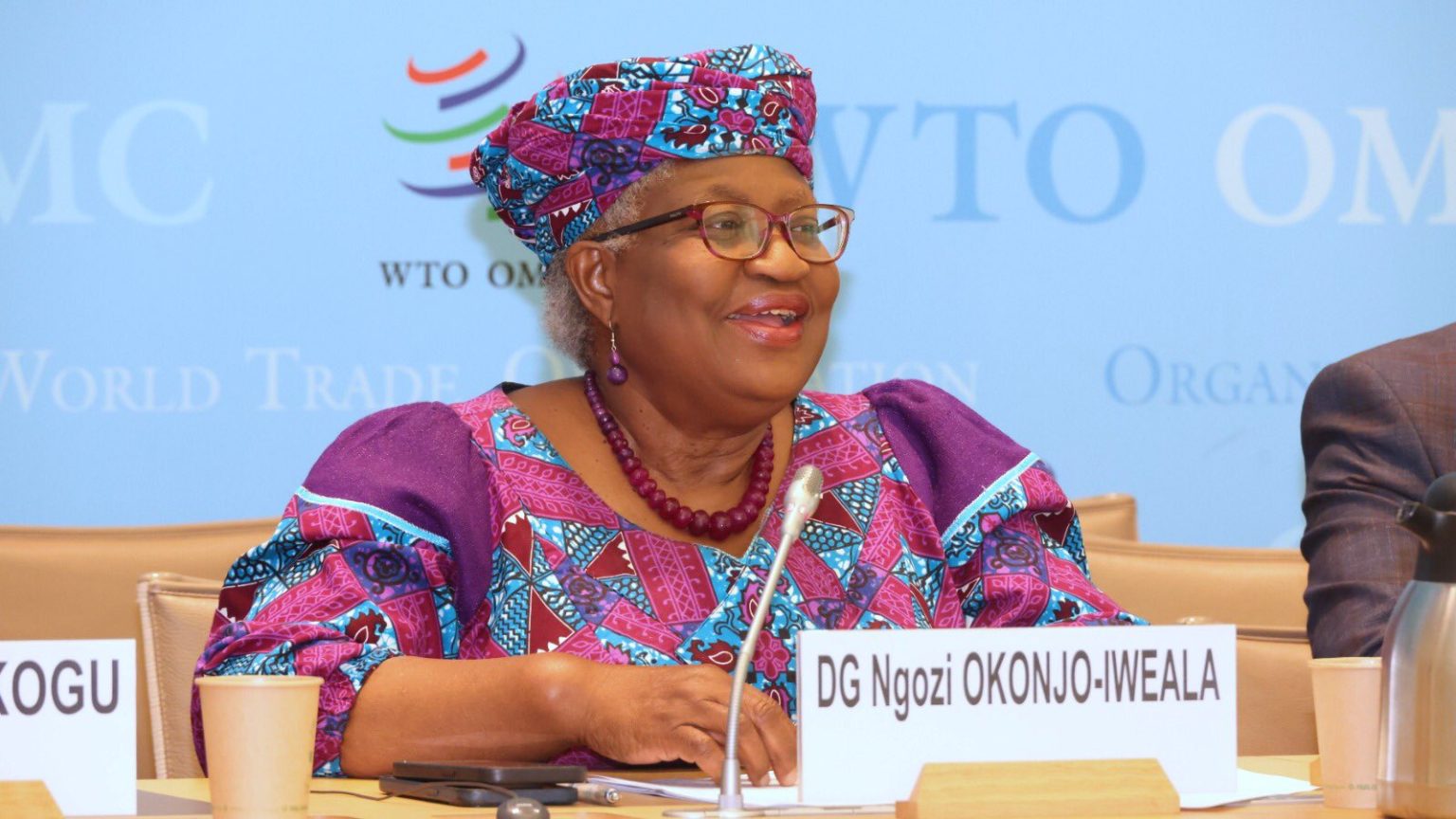 US tariffs may shrink Global Trade by 1% – WTO DG