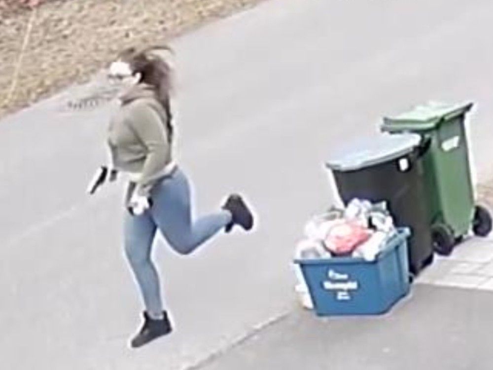 Woman shot while fleeing Ottawa police gets five-year sentence