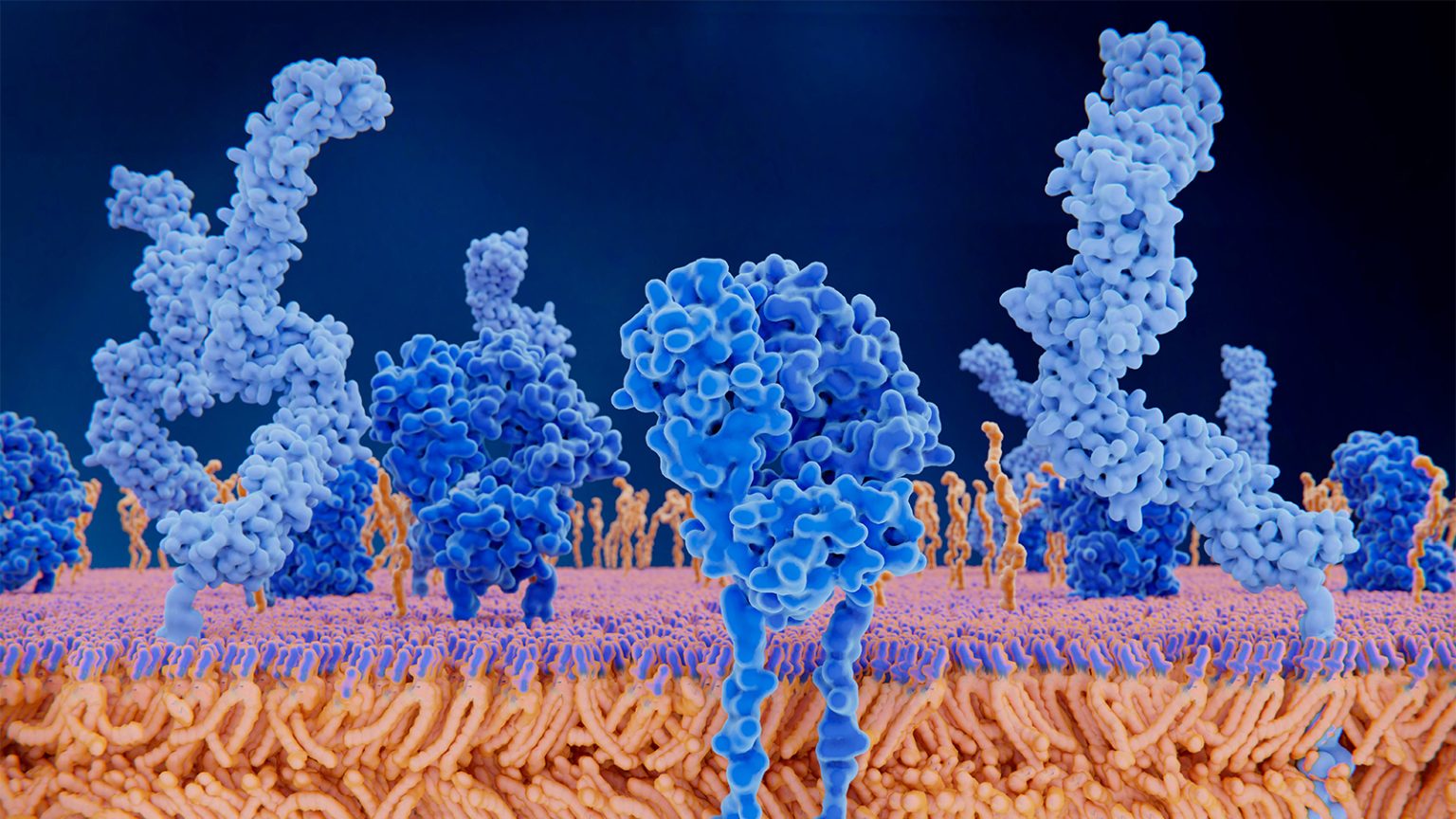 Researchers Describe Rare Syndrome After COVID Vaccine