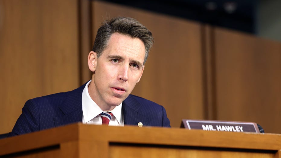 Hawley urges Republicans to cut taxes for working-class voters who ‘put Trump in the White House’