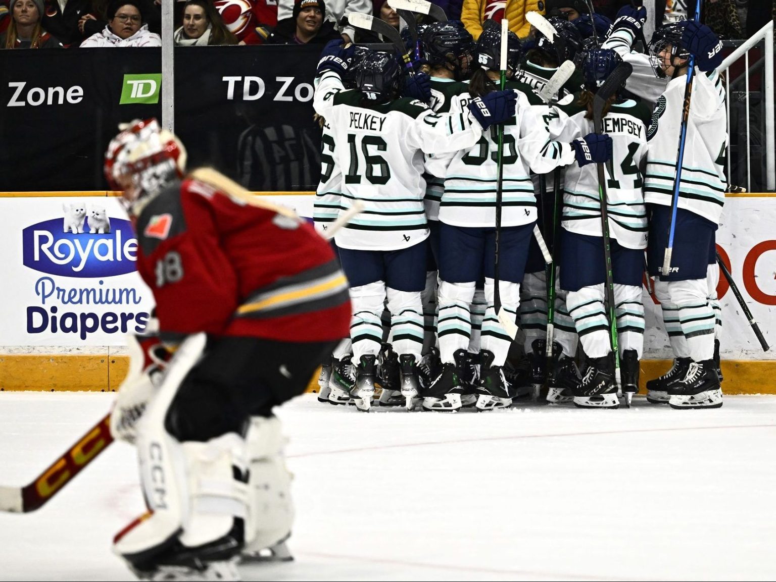 First fight in PWHL history as Ottawa Charge lose to Boston Fleet