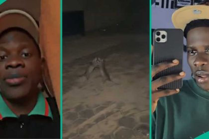 See what young man found two rats doing at night after hearing strange noise at night