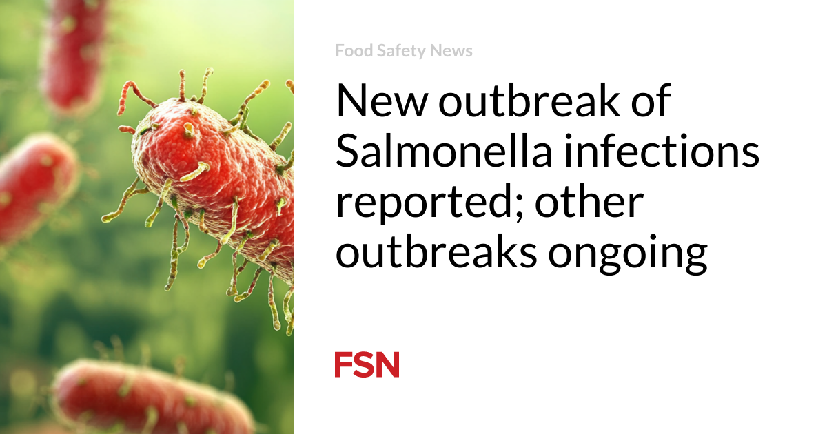 New outbreak of Salmonella infections reported; other outbreaks ongoing