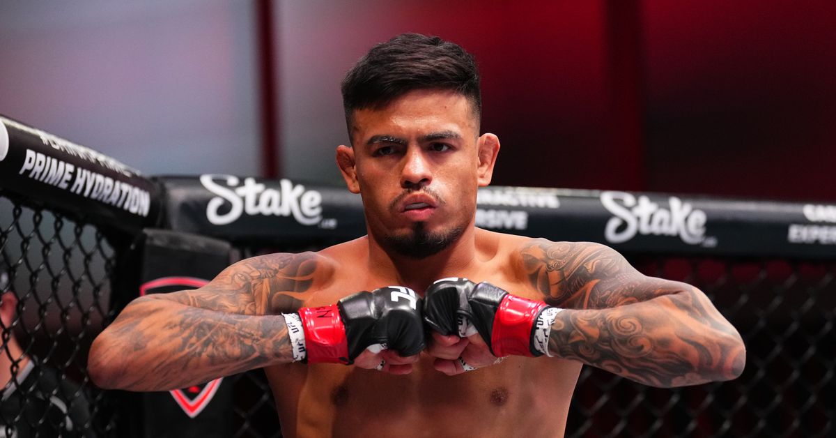 Brandon Royval faces Manel Kape at UFC 317