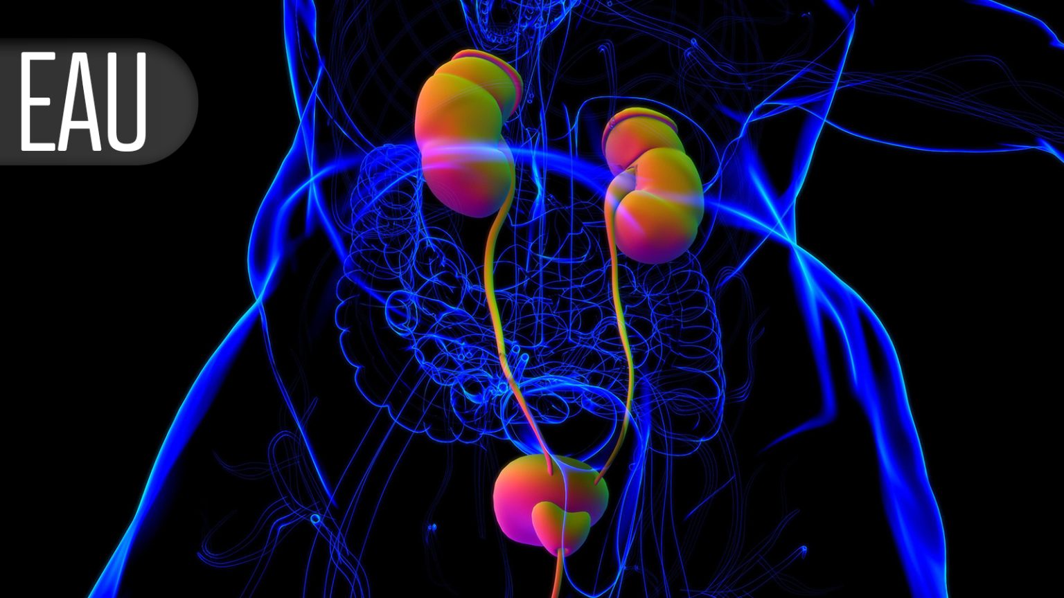 Nerve-Sparing Technique During Prostatectomy Helps Preserve Erectile Function