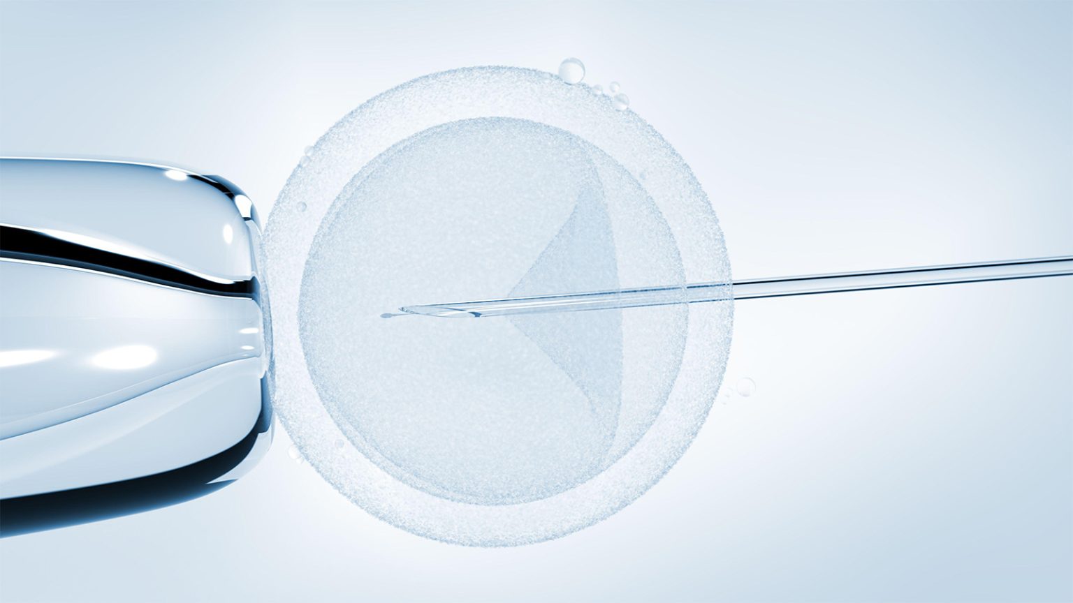 IVF Executive Order a Good Start, but Not Enough, Women’s Healthcare Groups Say