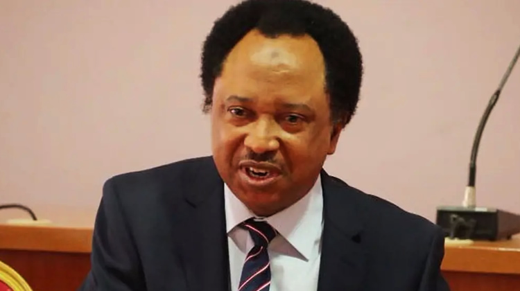 Shehu Sani warns Tinubu against tribal favouritism in governance