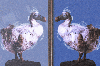 Advertisers are starting to walk away from platforms’ AI solutions that once promised them everything