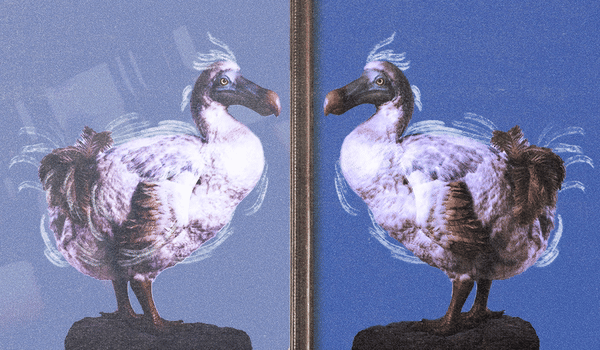 Advertisers are starting to walk away from platforms’ AI solutions that once promised them everything