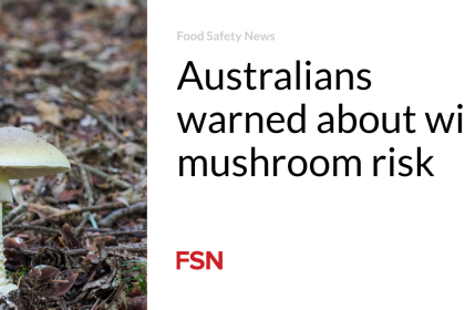 Australians warned about wild mushroom risk