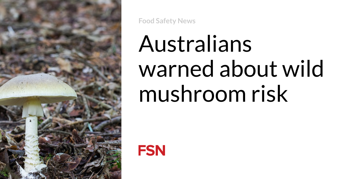 Australians warned about wild mushroom risk