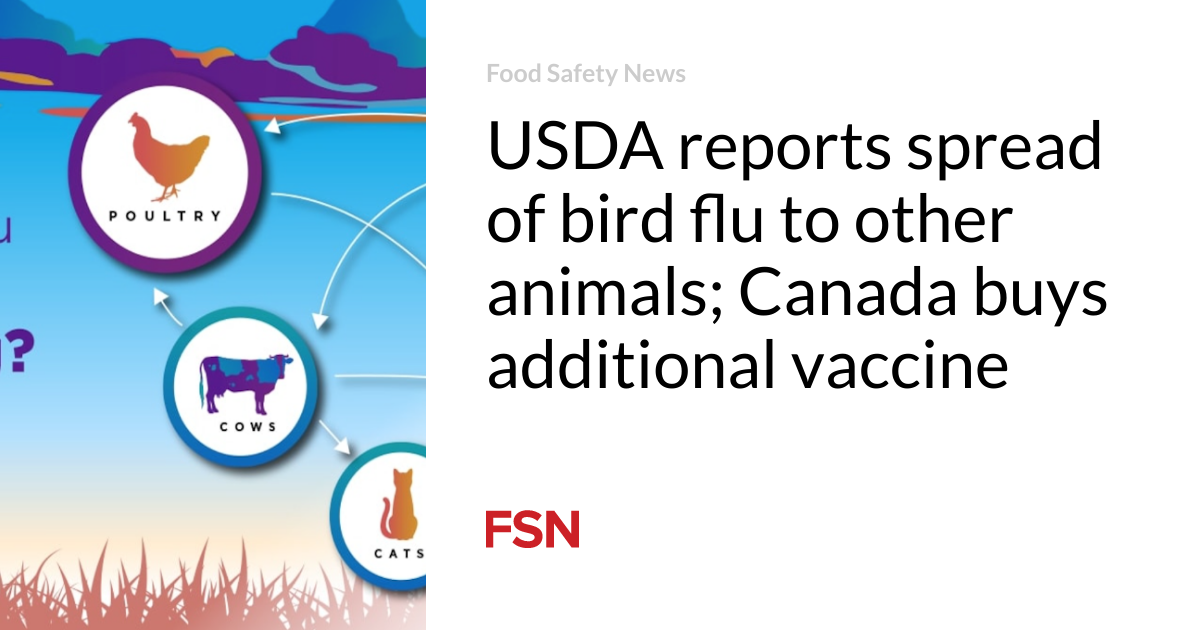 USDA reports spread of bird flu to other animals; Canada buys additional vaccine