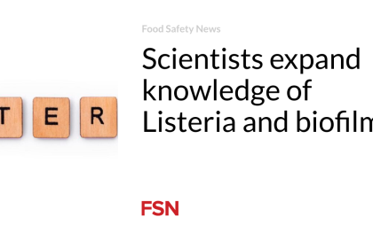 Scientists expand knowledge of Listeria and biofilms