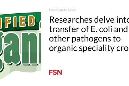 Researches delve into transfer of E. coli and other pathogens to organic speciality crops