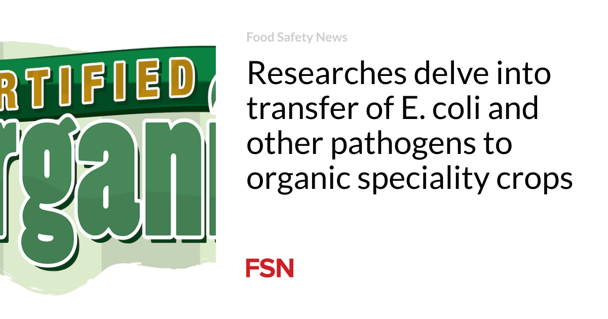 Researches delve into transfer of E. coli and other pathogens to organic speciality crops
