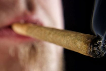 Two New Studies Link Cannabis to Cardiovascular Problems