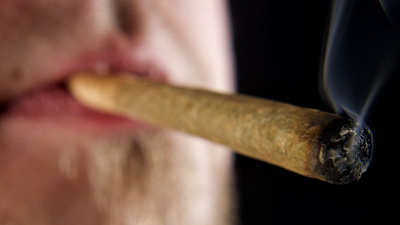 Two New Studies Link Cannabis to Cardiovascular Problems