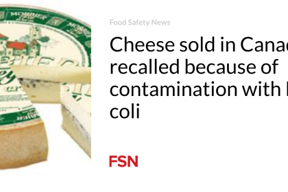 Cheese sold in Canada recalled because of contamination with E. coli