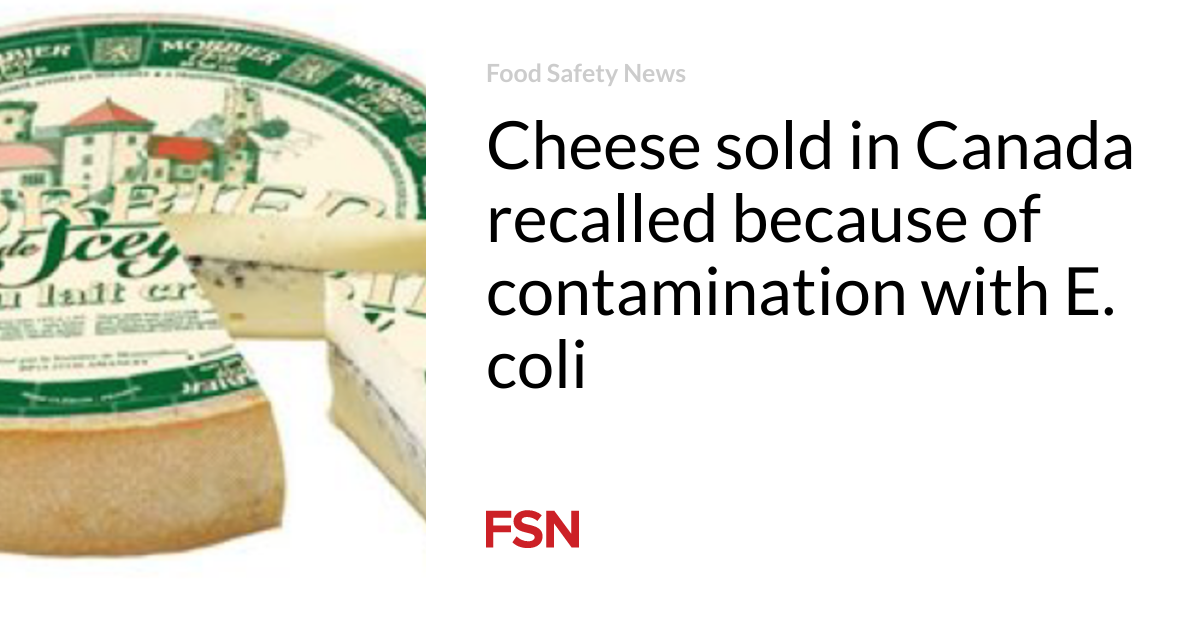 Cheese sold in Canada recalled because of contamination with E. coli
