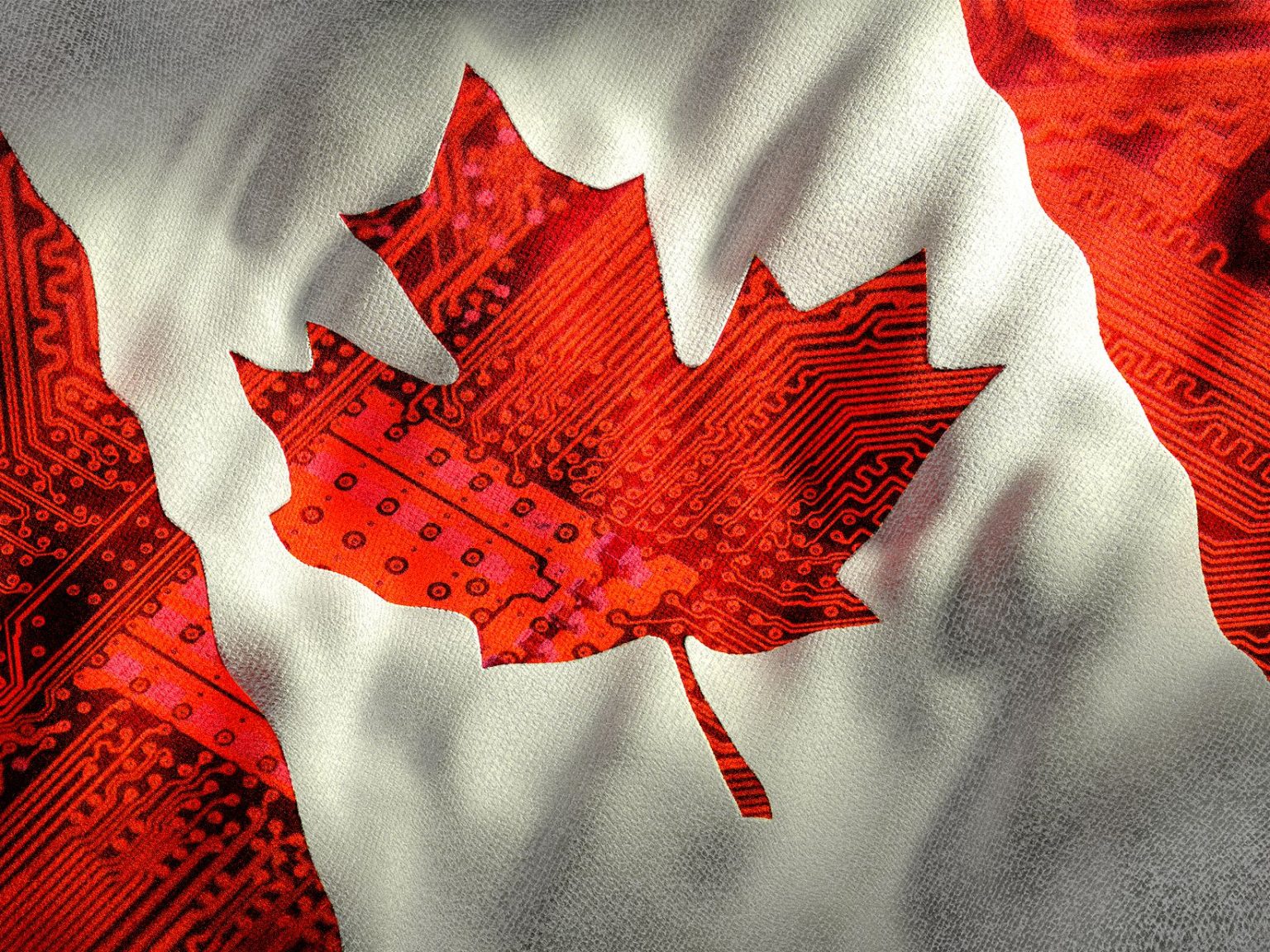 Trump’s Trade War Pushes Canadian Tech Workers to Rethink Silicon Valley