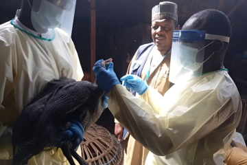 WHO commits to enhancing Nigeria’s capacity to tackle influenza threat
