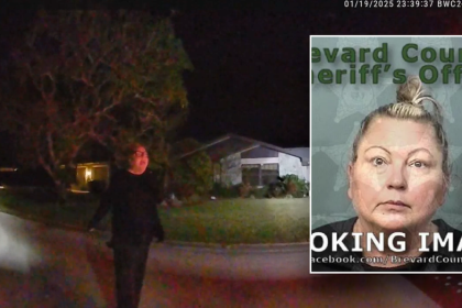 Florida elementary school teacher placed on leave after attending ‘white lie party’ with 200 kids: Officials