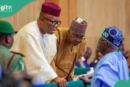 Constitutional review: Why Nigeria should be divided into 12 regions