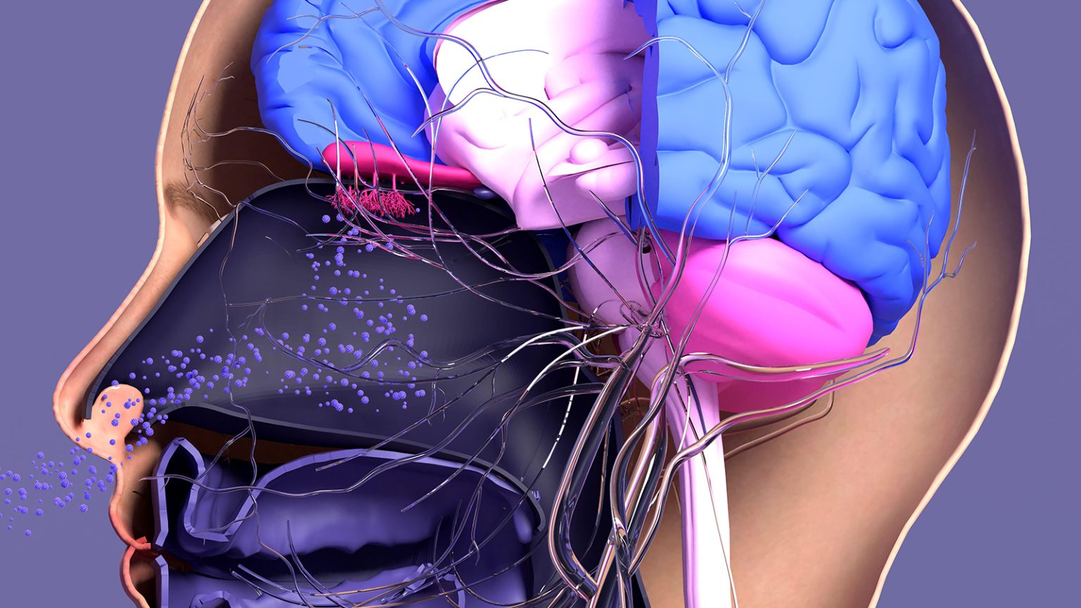 Tiny Ocean Plastics Tied to Big Brain Problems