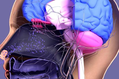 Tiny Ocean Plastics Tied to Big Brain Problems