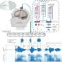 Brain-to-voice interface converts thoughts to speech in near-real time
