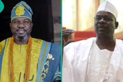Revealed: Why Senator Ali Ndume should be arrested