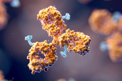 Novel Drug Shrinks 73% of HER2-Mutant Lung Cancers