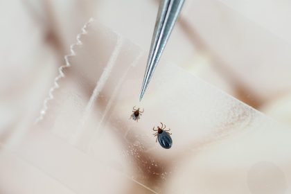 Lyme Disease Researcher Fired by CDC