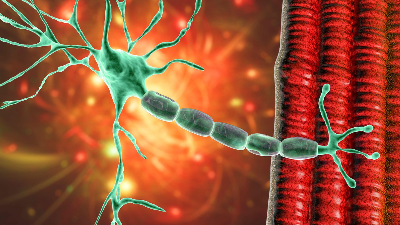 Novel Agent Safe in ALS, Phase II Study Suggests