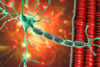 Novel Agent Safe in ALS, Phase II Study Suggests