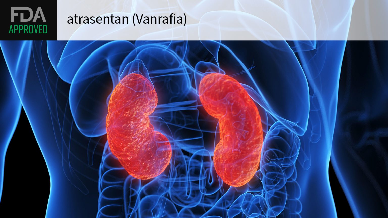 IgA Nephropathy Drug With Novel Mechanism Wins FDA Approval